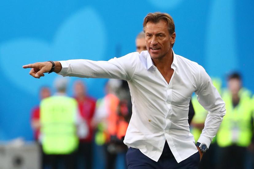 Côte d'ivoire : Retour de Renard sur le banc des Eléphants 