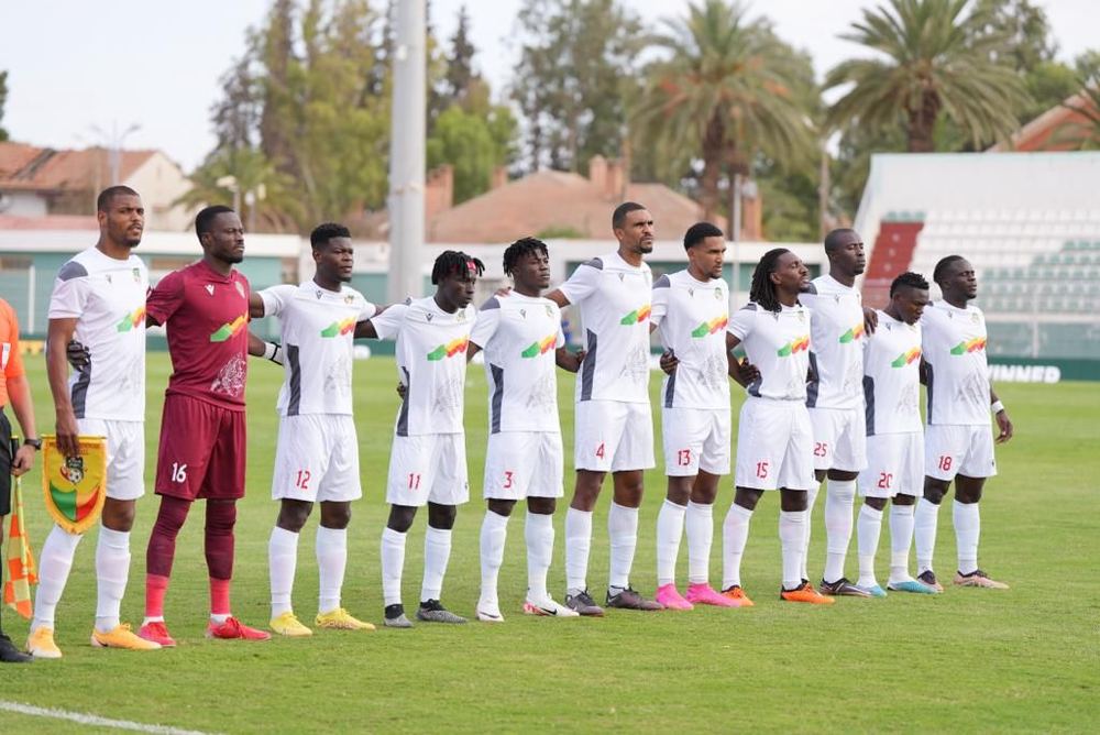 Journée FIFA : Quelques résultats des pays africains