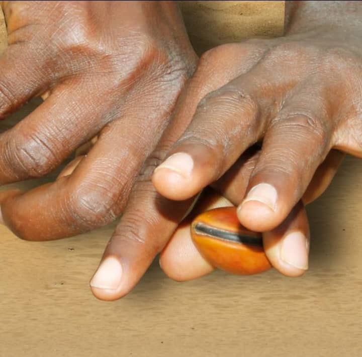 Togo : Le championnat de vetretre lancé