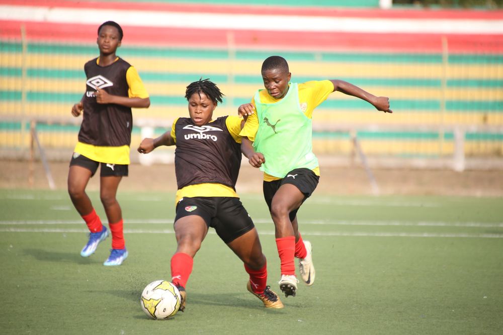 Elim CAN 2026 (F) : Les Eperviers amorcent le chantier