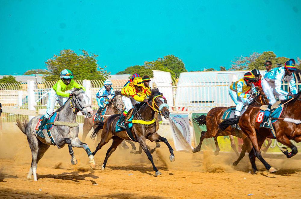 Sénégal: Course hippique à Kaolack 30 ans après